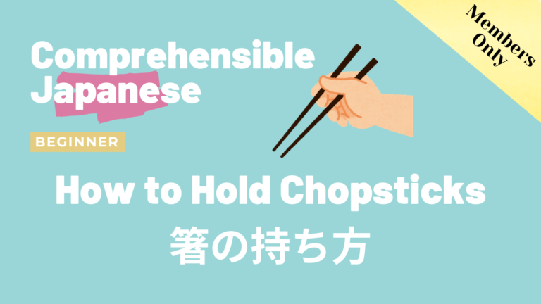箸の持ち方 How to hold chopsticks