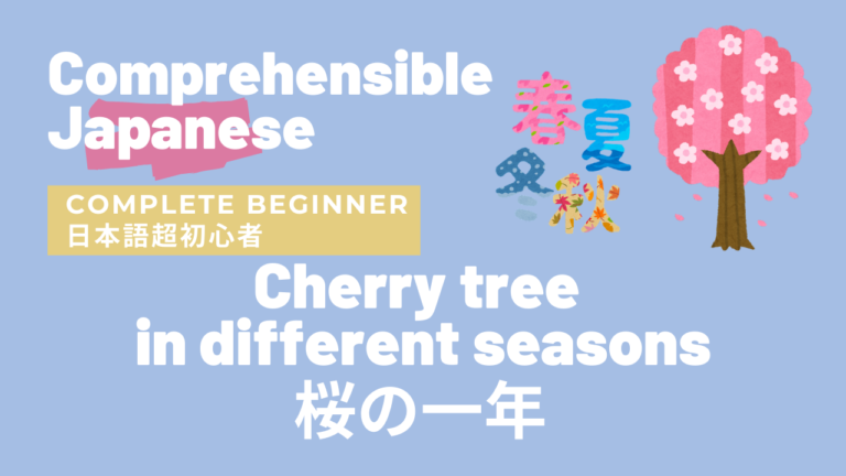 桜の１年 Cherry tree in different seasons
