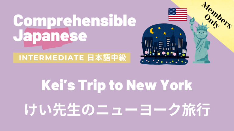 けい先生のニューヨーク旅行 Kei’s Trip to New York